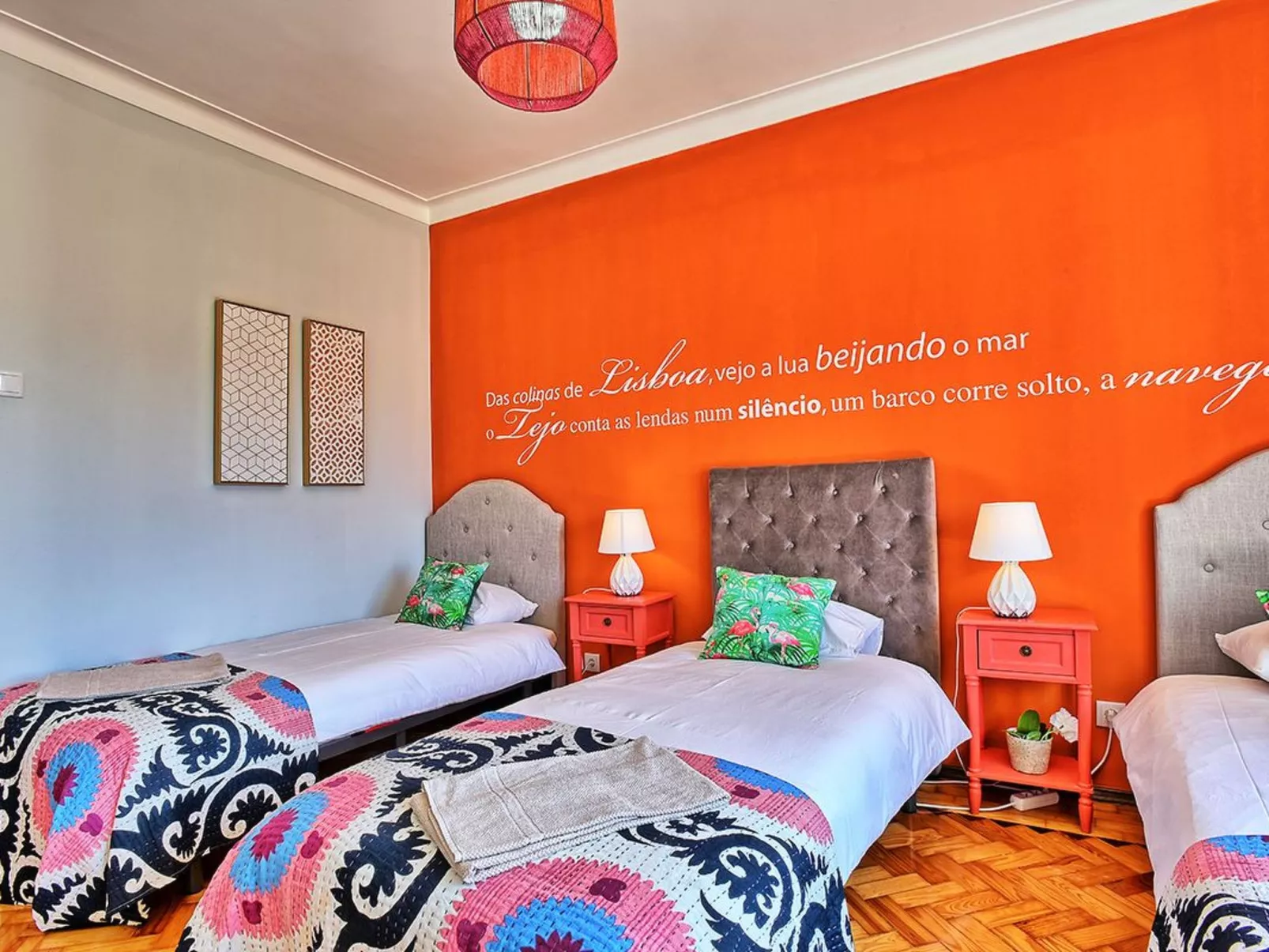 "Apolonia" mit Waschmaschine-Image-tags.info