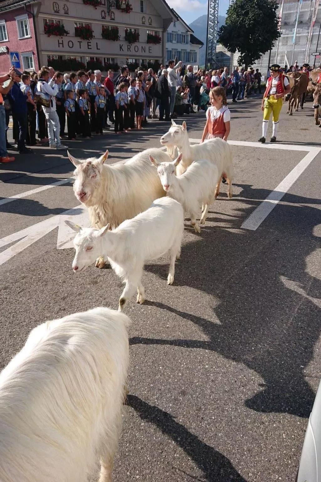 Alpen-Paradies Edelweiss Urnäsch-Buiten
