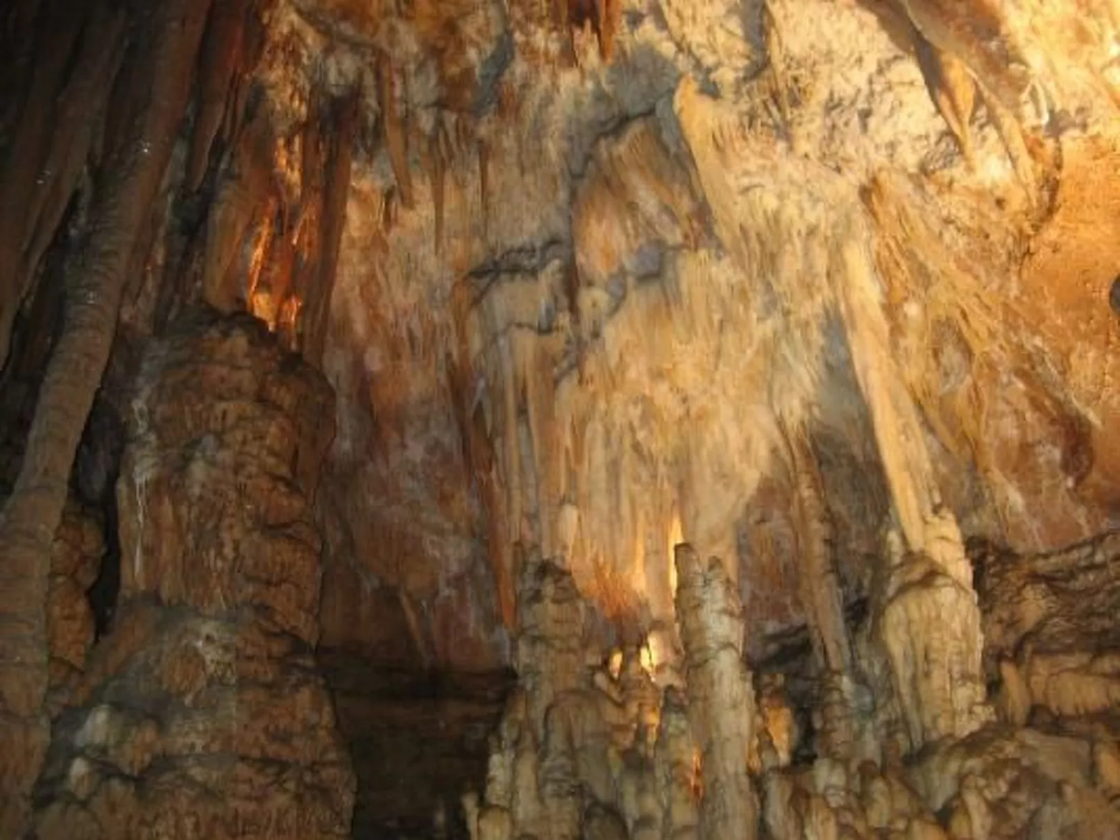 FERIENHAUS, FERIENHAUS "MAISON DE LAVANDE" (LAVENDELHAUS)-Buiten