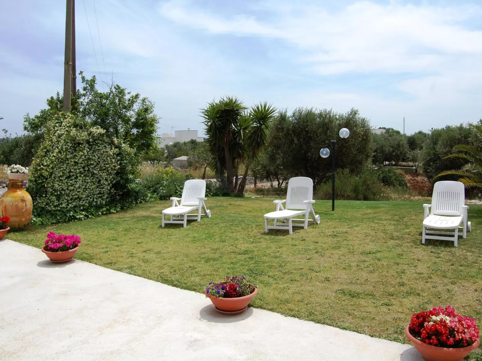 ROSSO SUITE-Image-tags.info