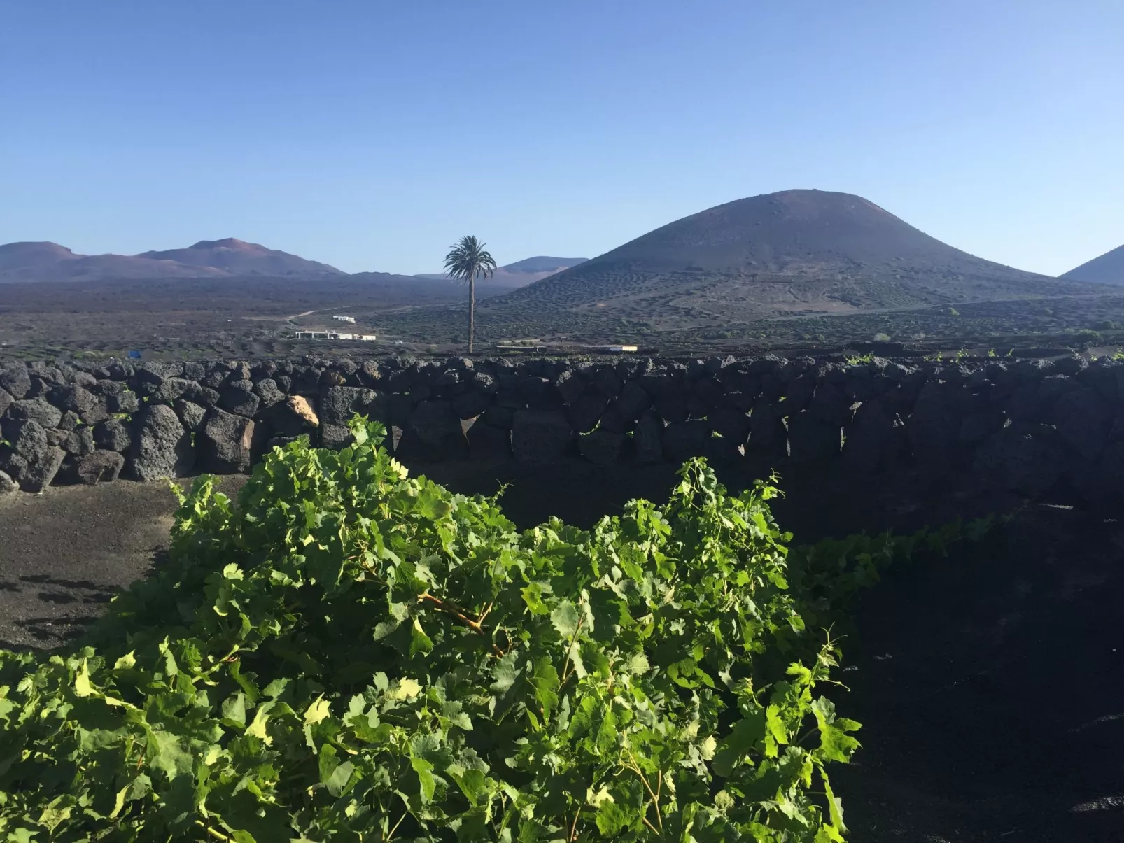 Finca mit Pool und herrlichem Meerblick-Buiten