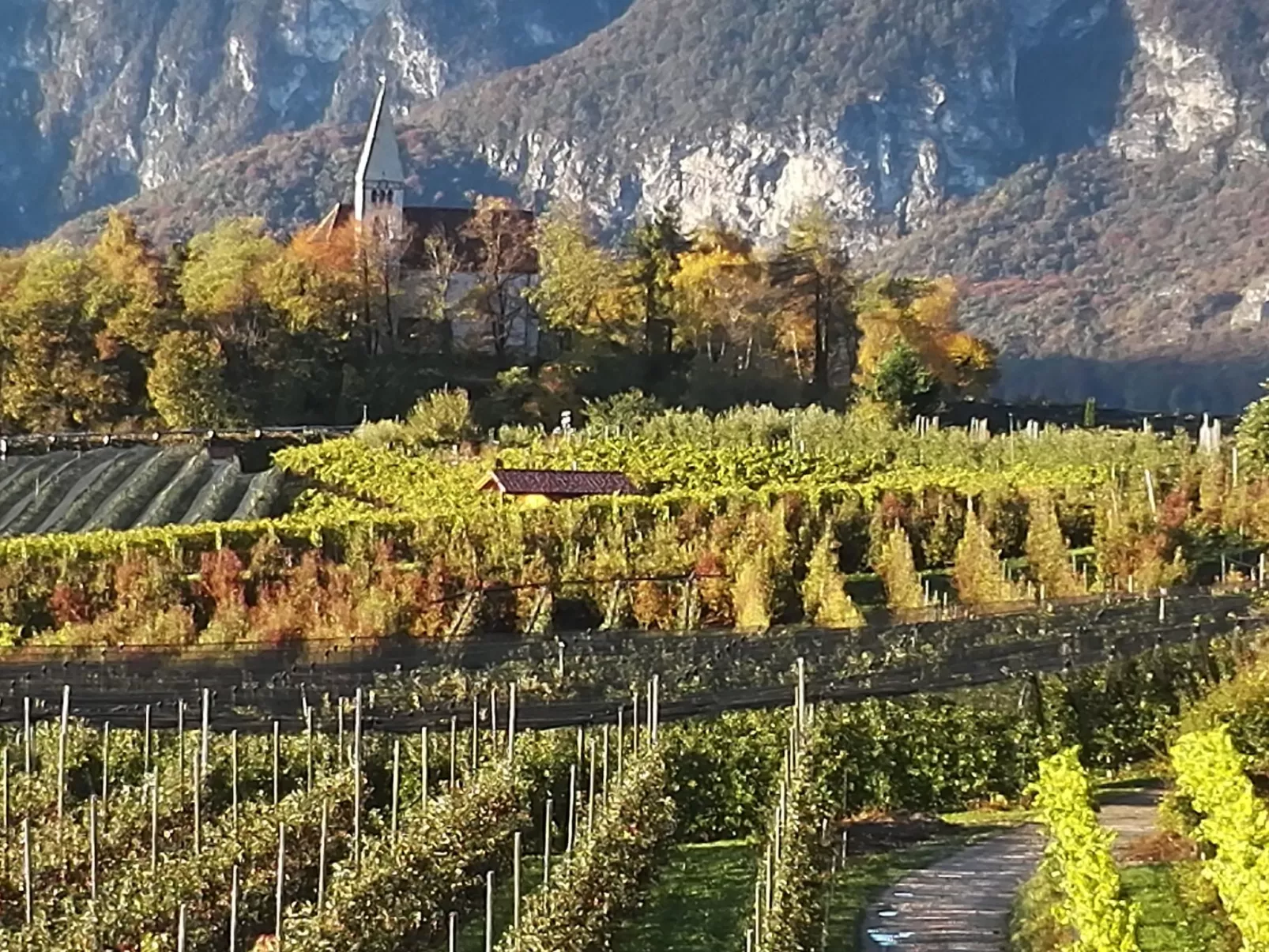 Apartment Merlot in Kurtatsch mit Panoramablick-Buiten