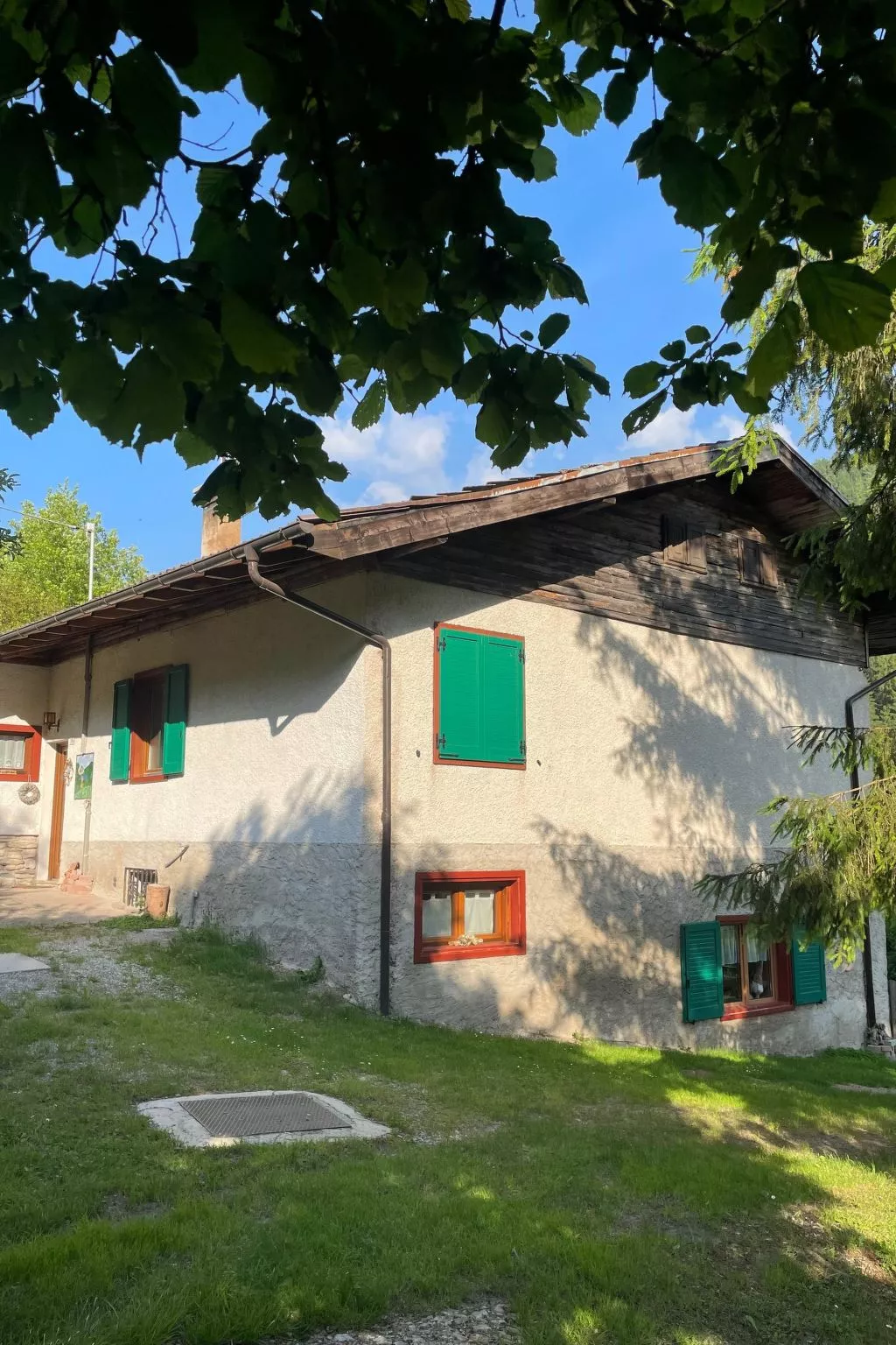 Gesegnet wie Frösche auf einem Seerosenblatt-Buiten