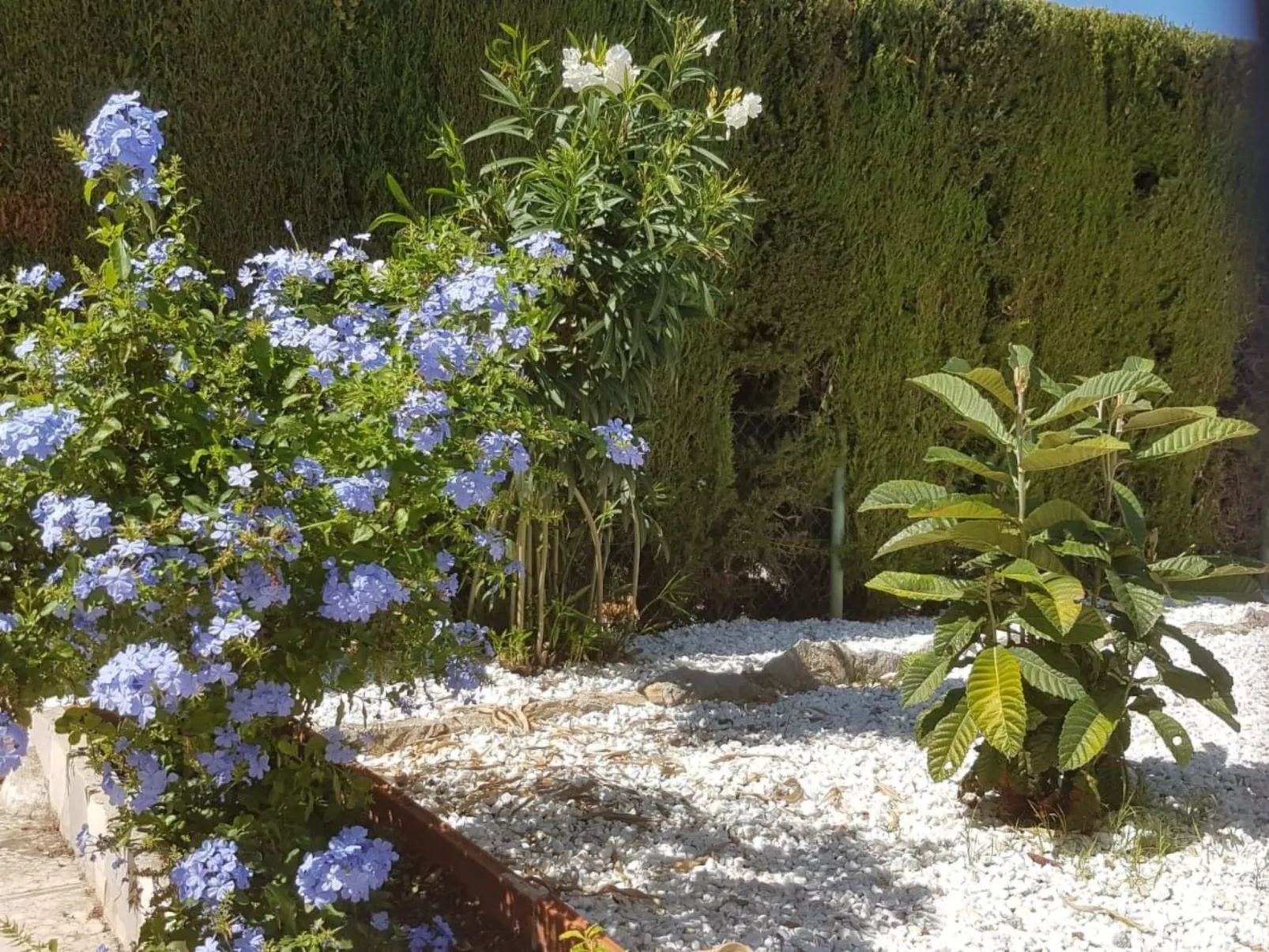 Casa Mila La Sella-Buiten