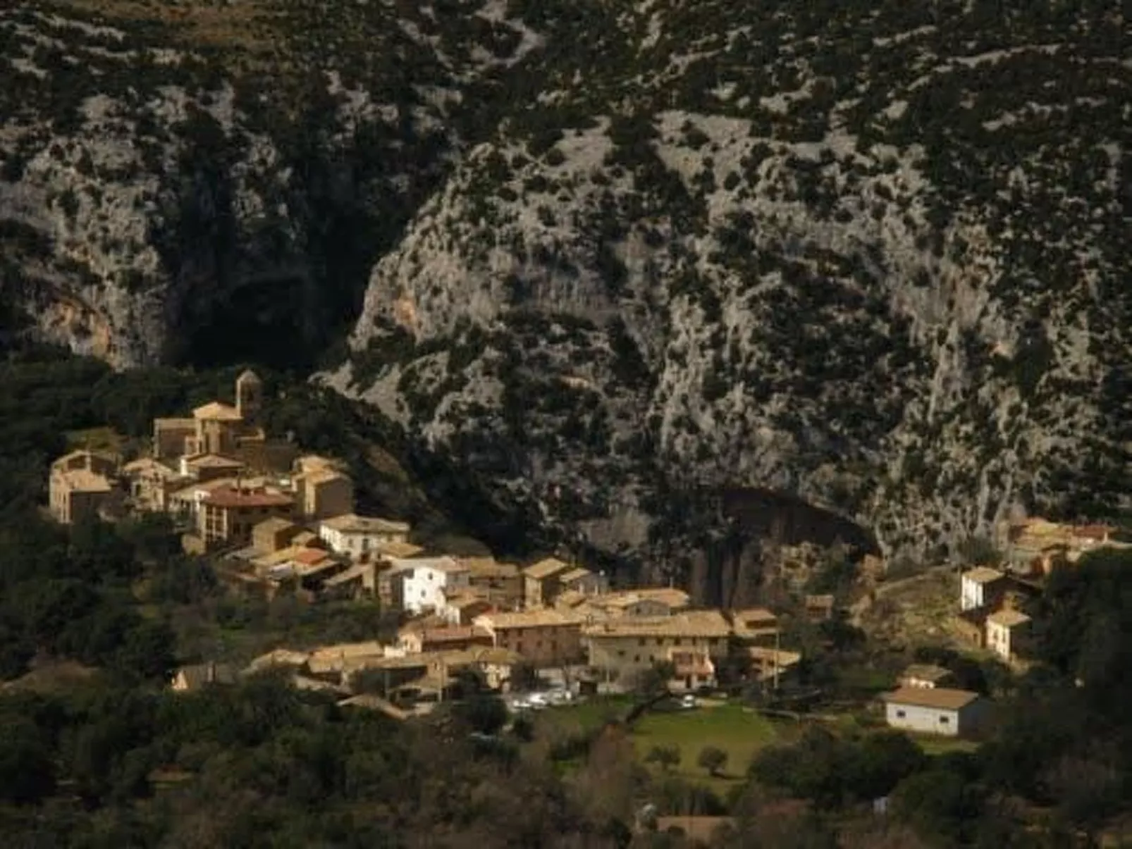 Javier Haus-Image-tags.info