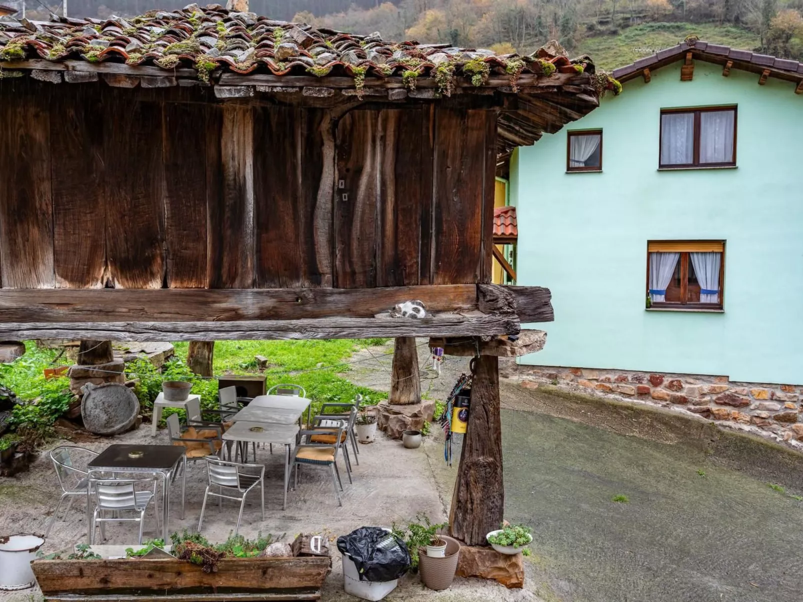 Ländliche Wohnung El Carbayu-Image-tags.info