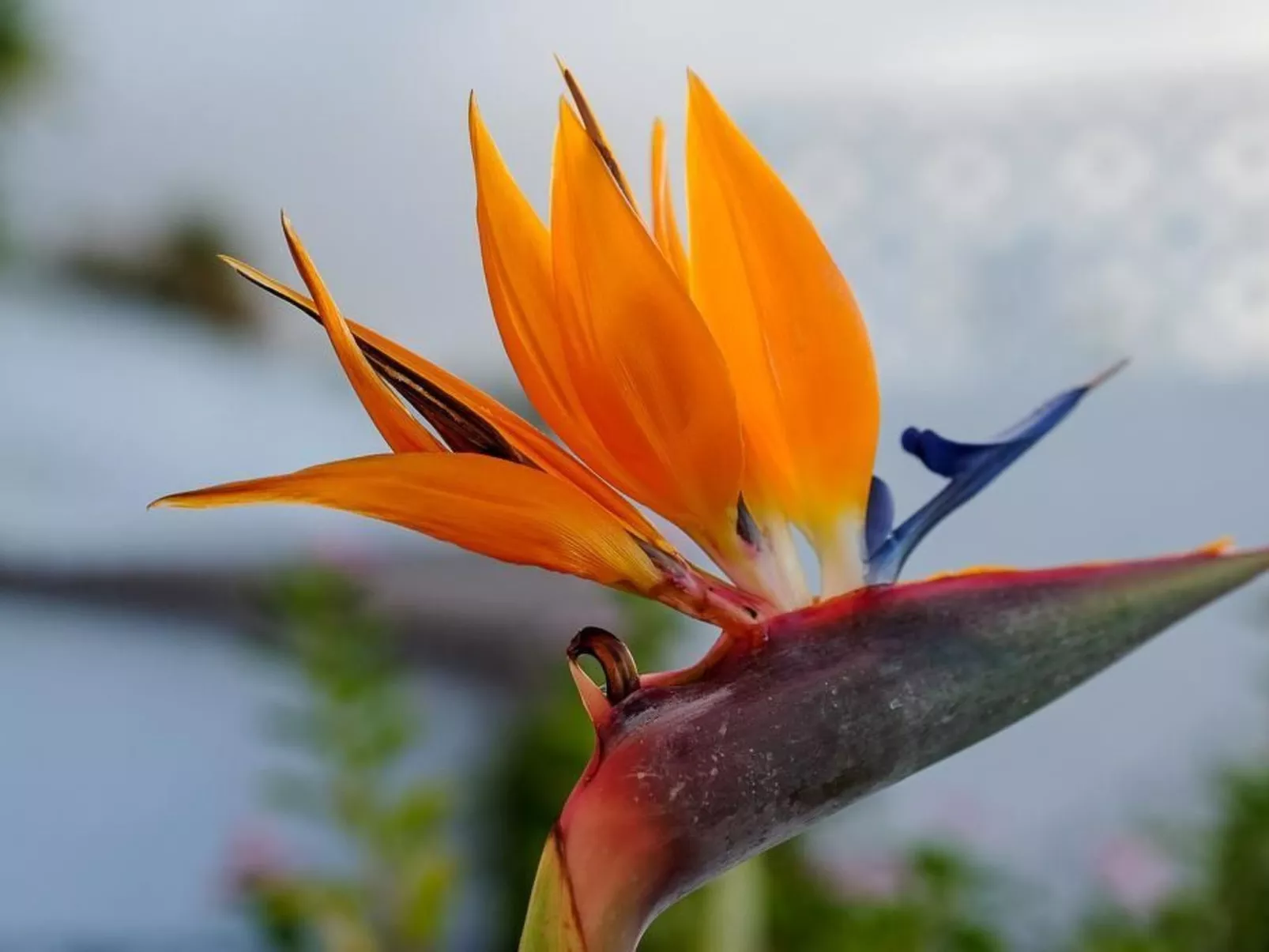 Strandnahes Haus mit Terrasse zum Sonnenuntergang - Buiten