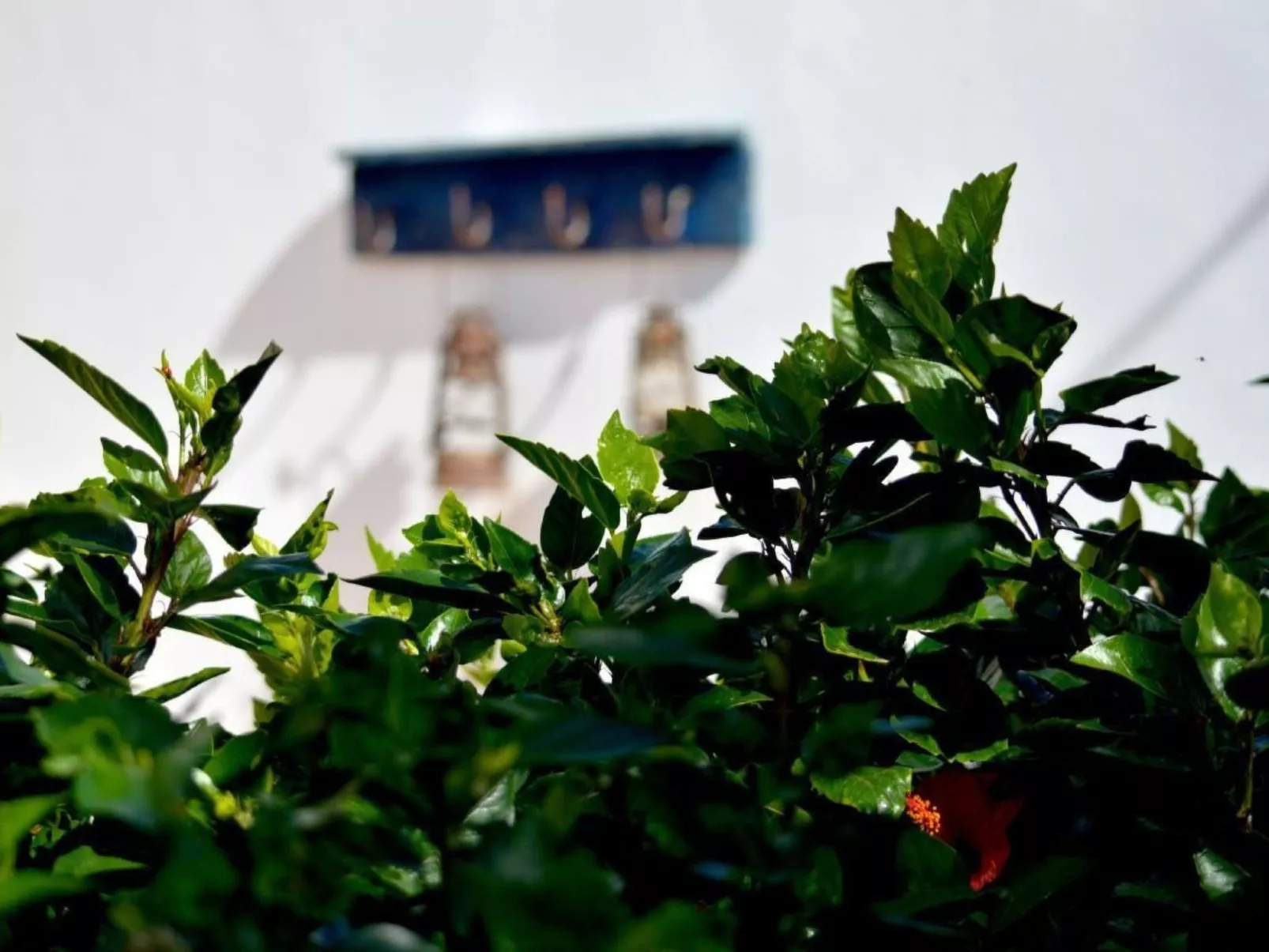 Appartement Casa Hibisco mit schönem Garten-Image-tags.info