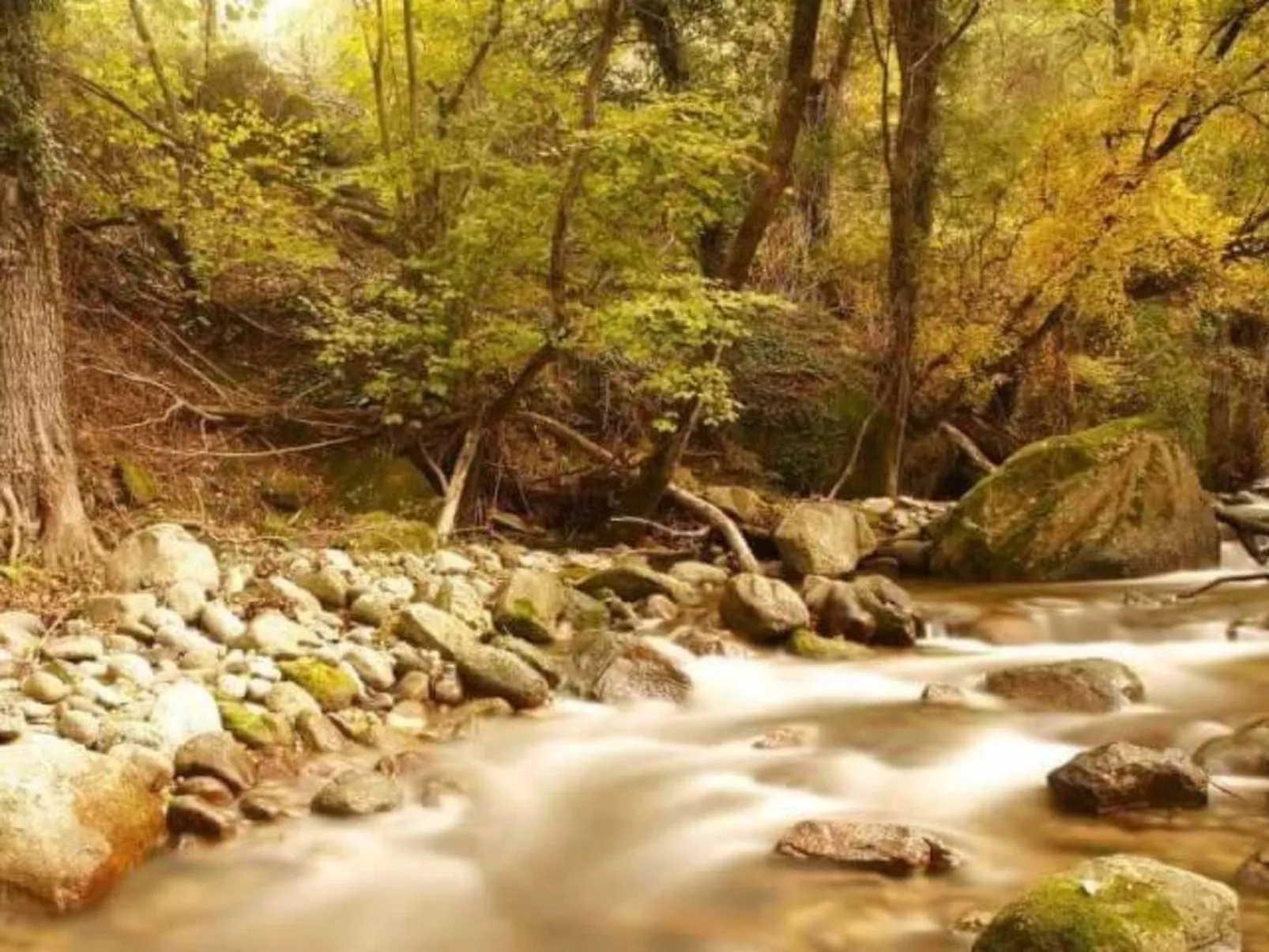 Natürlicher Urlaub in einem Ferienhaus mit Garten und Terrasse-Image-tags.info