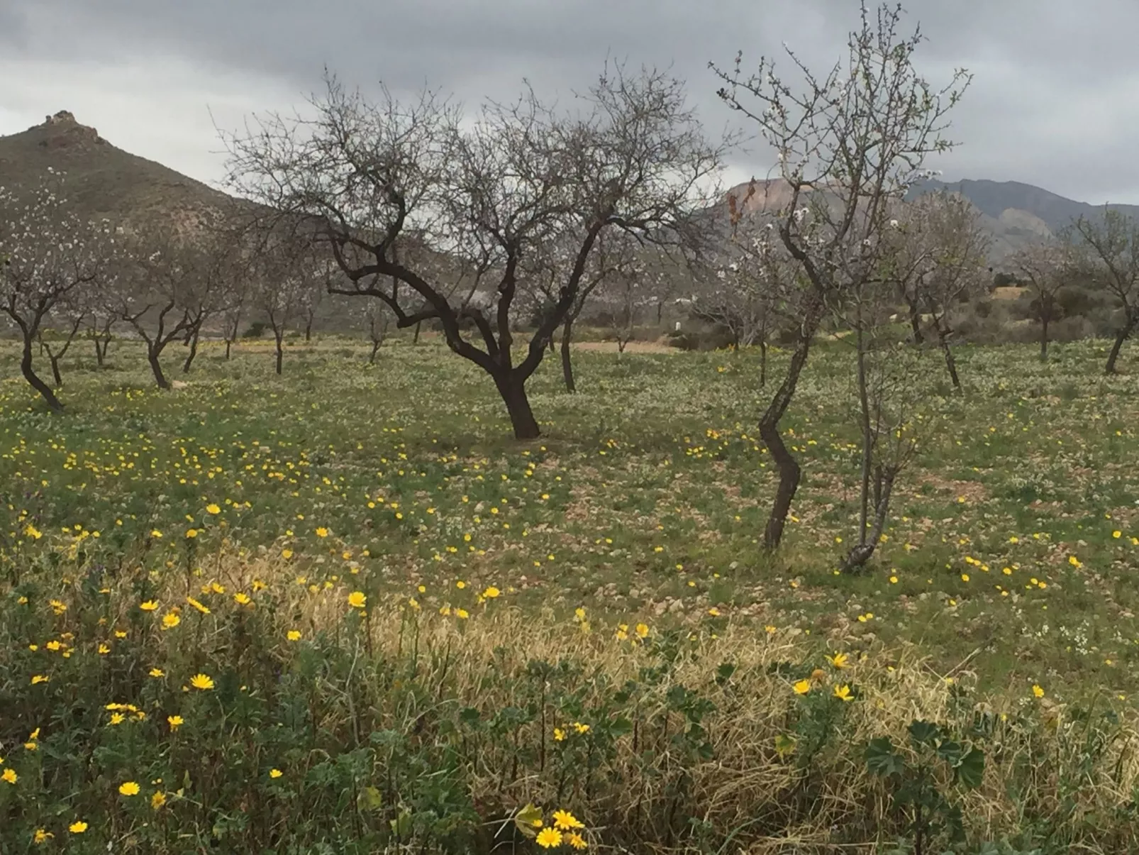 Casa Maravilla in der Nähe der Küste. Frieden und Ruhe.-Binnen