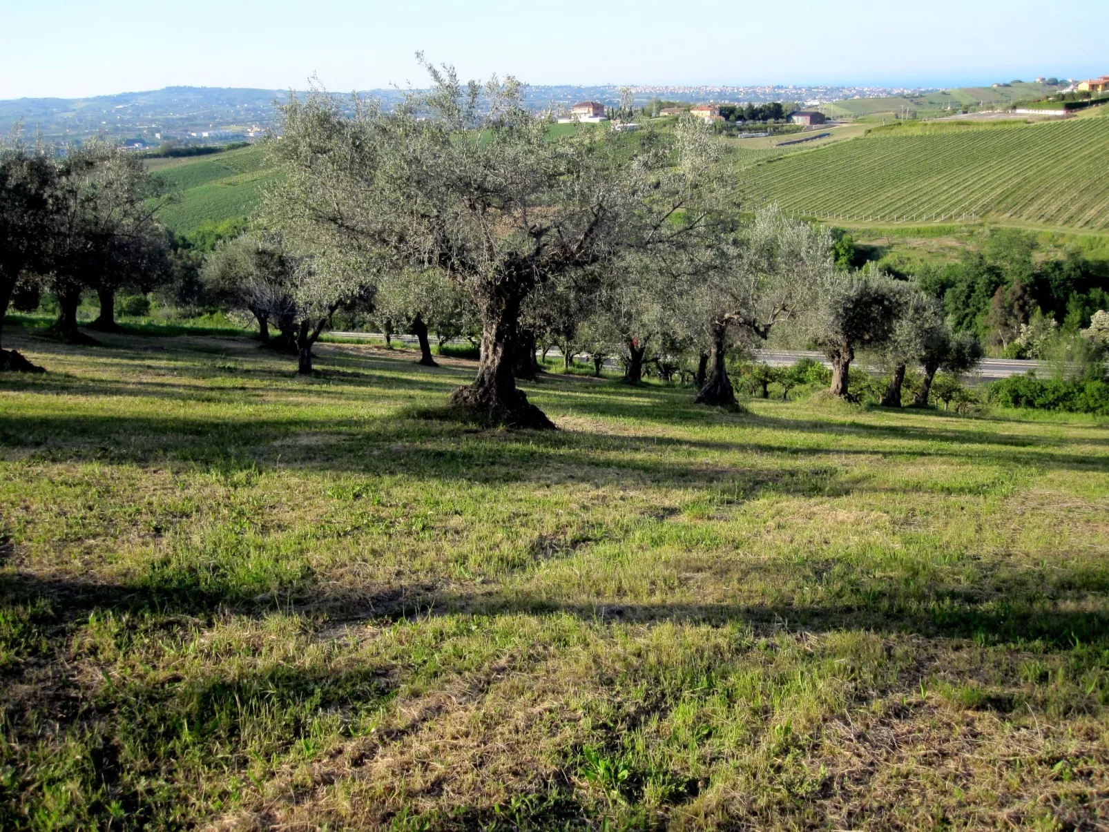 In Notaresco mit Grill und Garten-Buiten