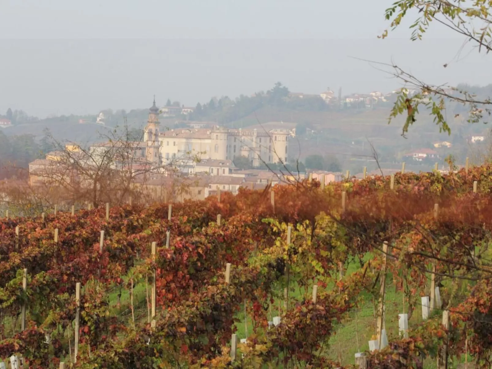 'Barbera' mit Pool-Buiten