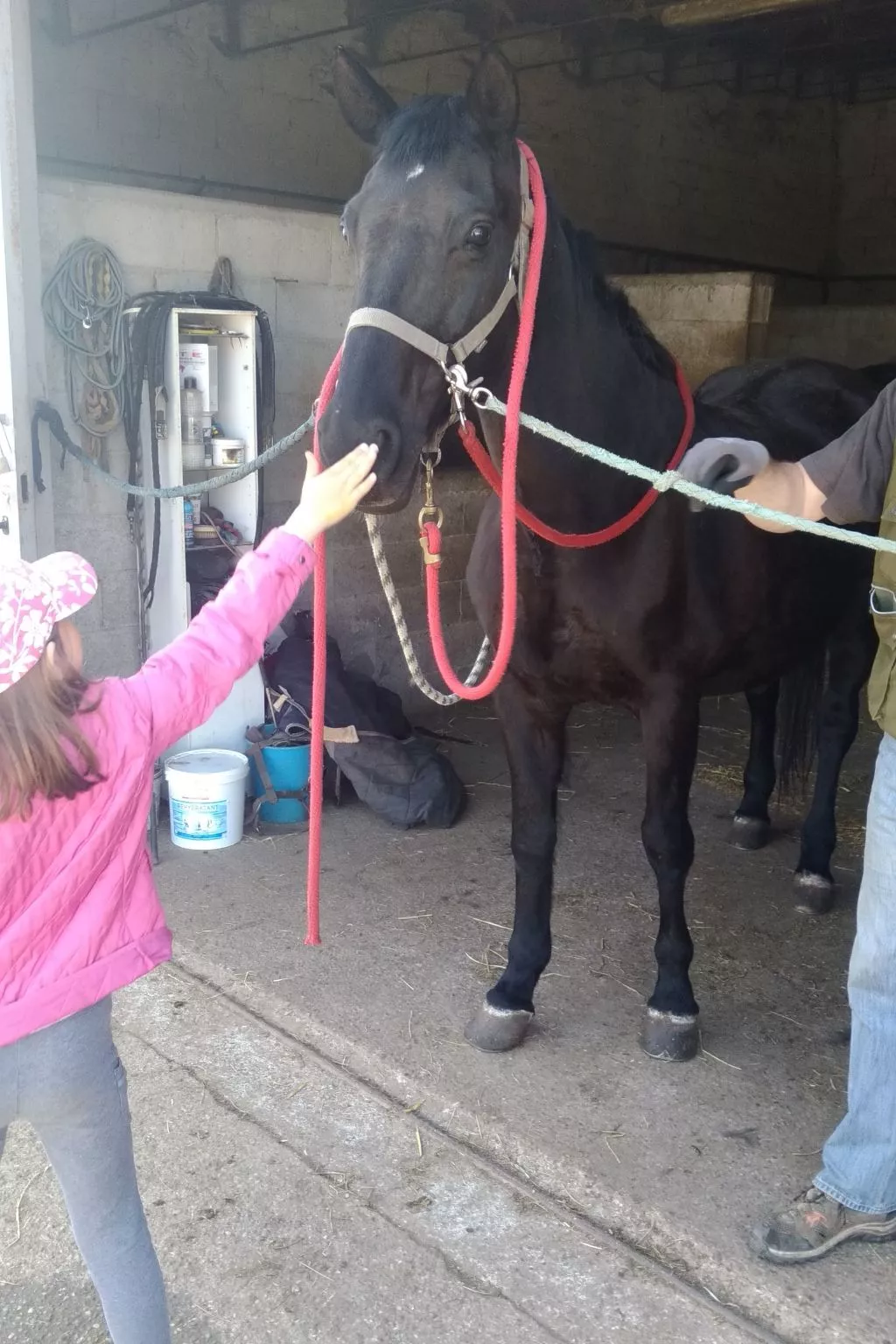 Das Landgut "Corte Canale Virgilio" mit Balkon-Image-tags.info