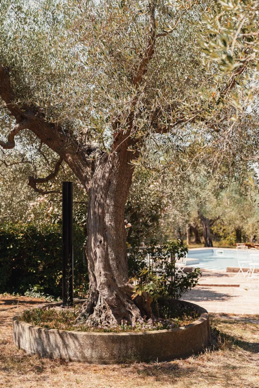 In einem Bauernhaus in den Hügeln, mit Garten und Pool-Buiten