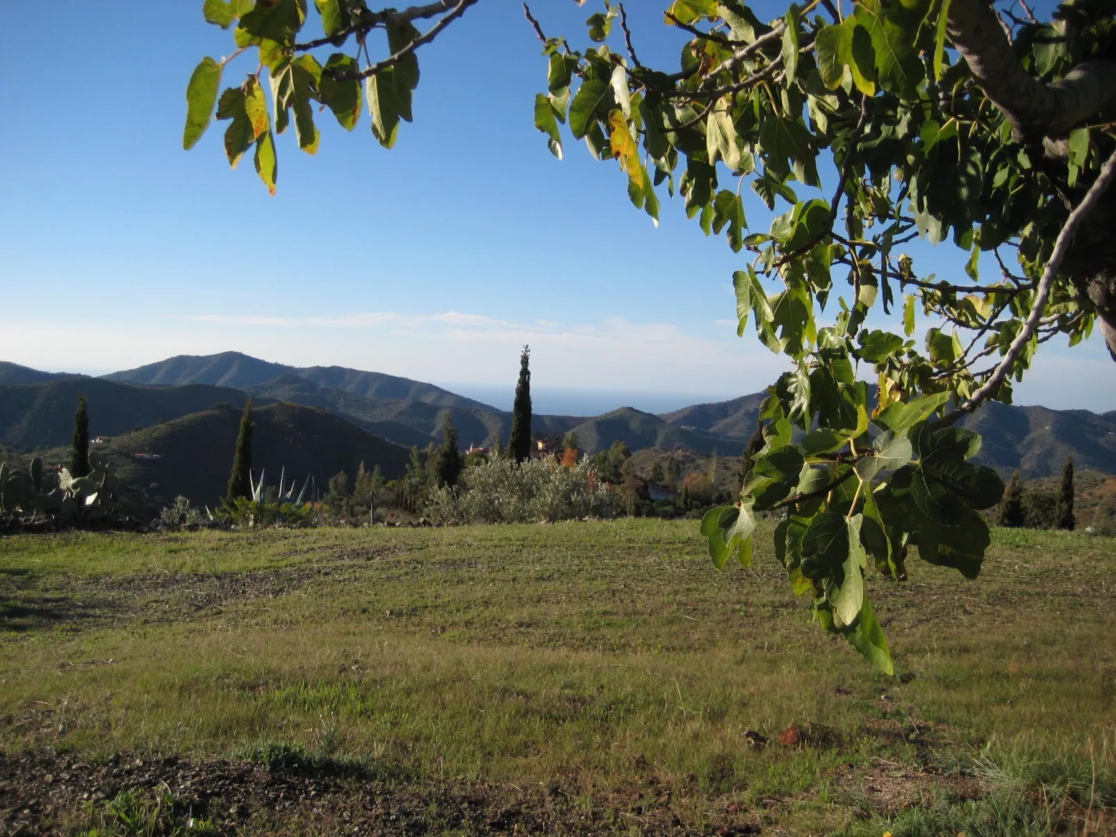 Finca 'Casa Siete Arcos' - Buiten