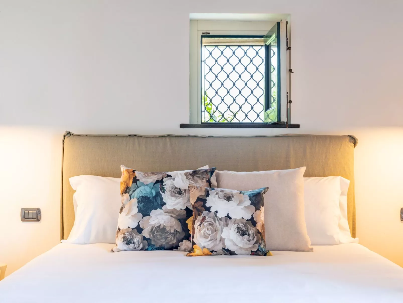 Avocado Garten-Image-tags.info