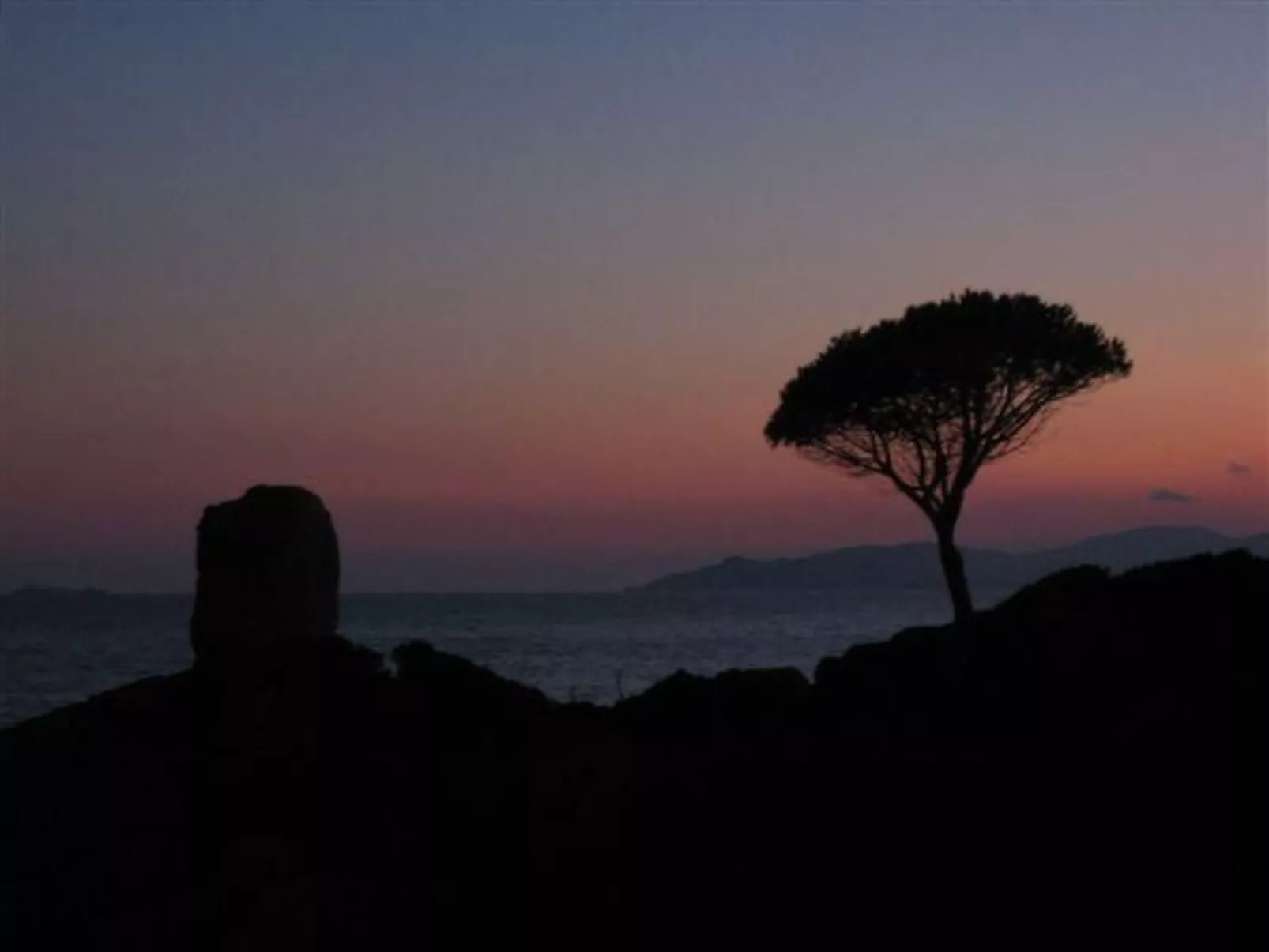 Natur, ökologische Nachhaltigkeit, nur für Erwachsene, Meer in der Nähe-Image-tags.info