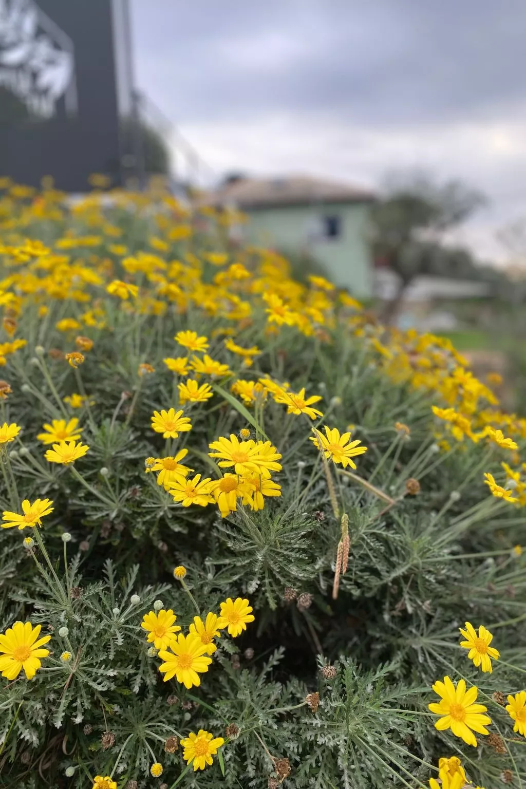 'Villa Camilla 2-Buiten