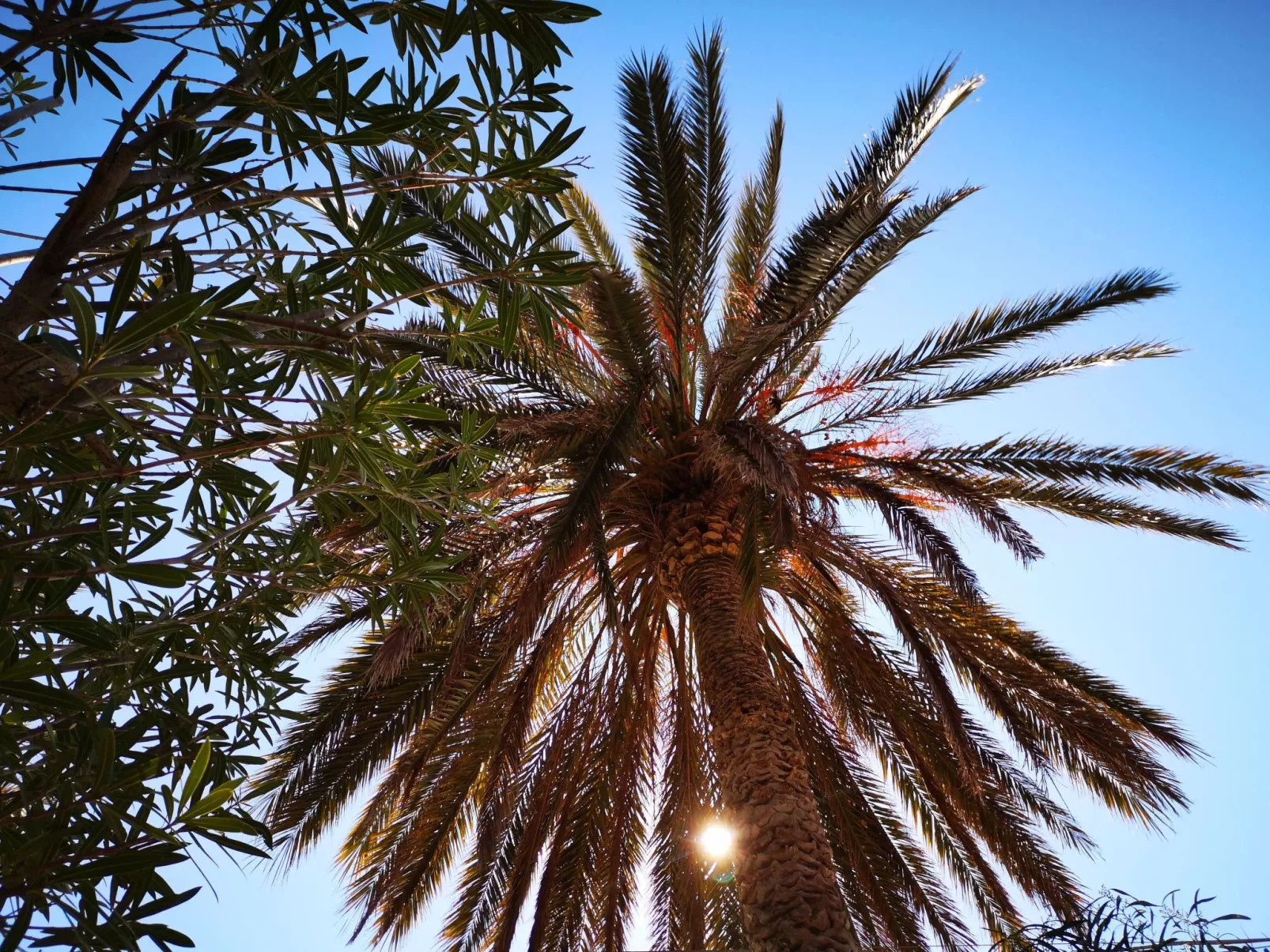 Schöner zentraler Bungalow direkt am Sandstrand auf Sizilien-Binnen