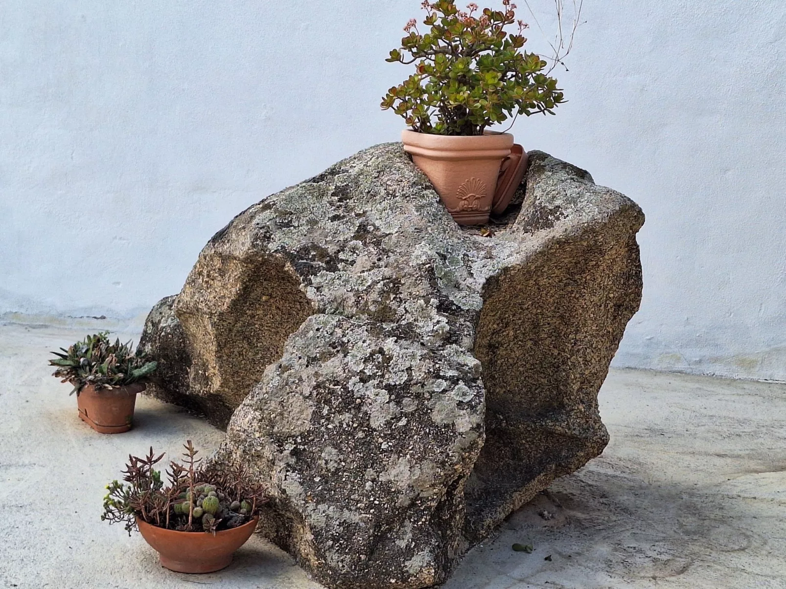 Manna Hof-Image-tags.info