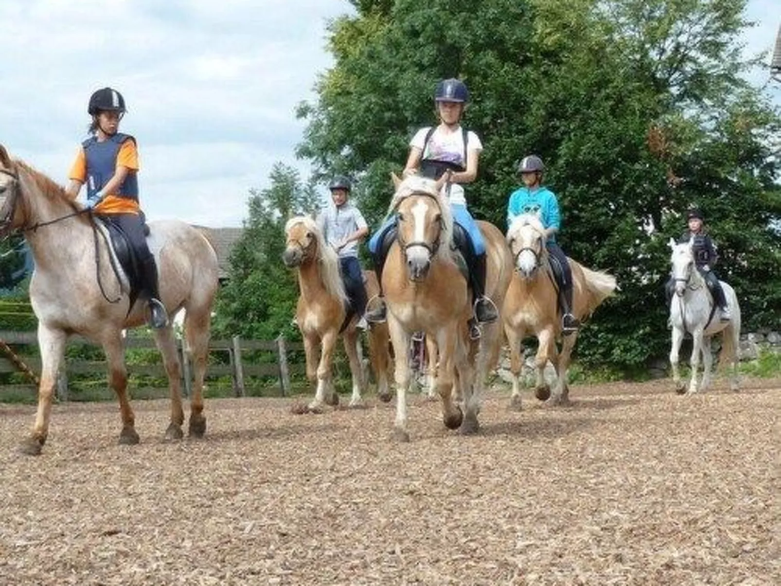 Panorama - Studio-Image-tags.info