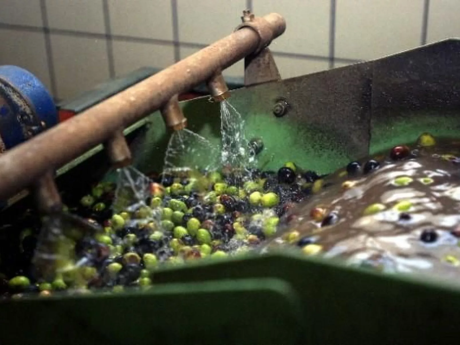 Helle Wohnung in den Hügeln des Gardasees-Image-tags.info