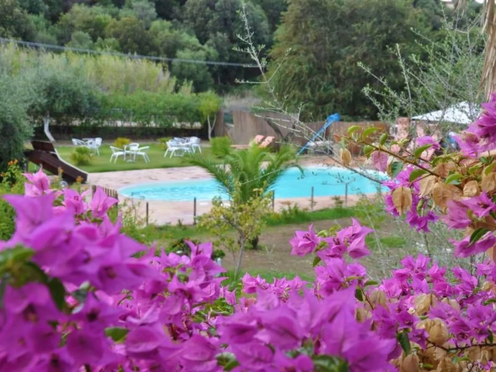 Agnese-Image-tags.info