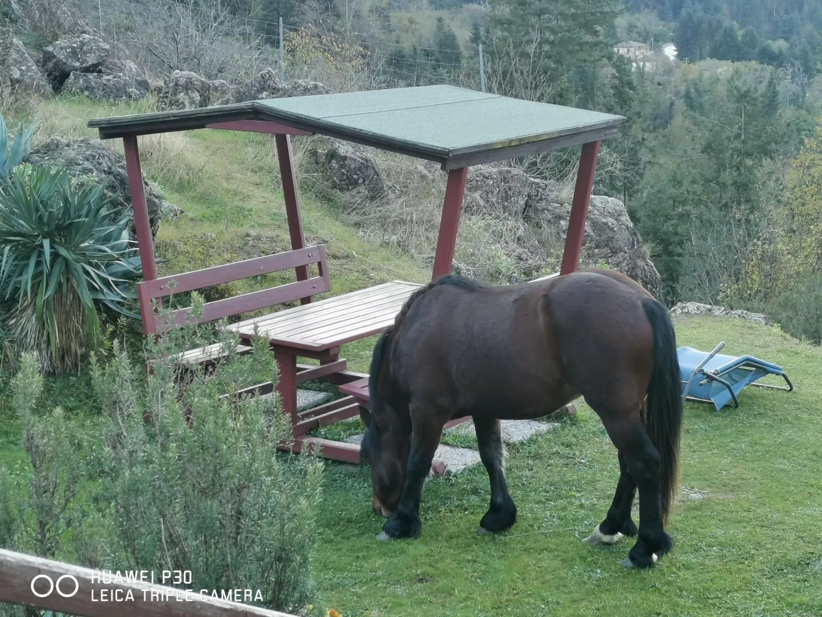 Chalet 'Perle des Höhenweges'-Buiten
