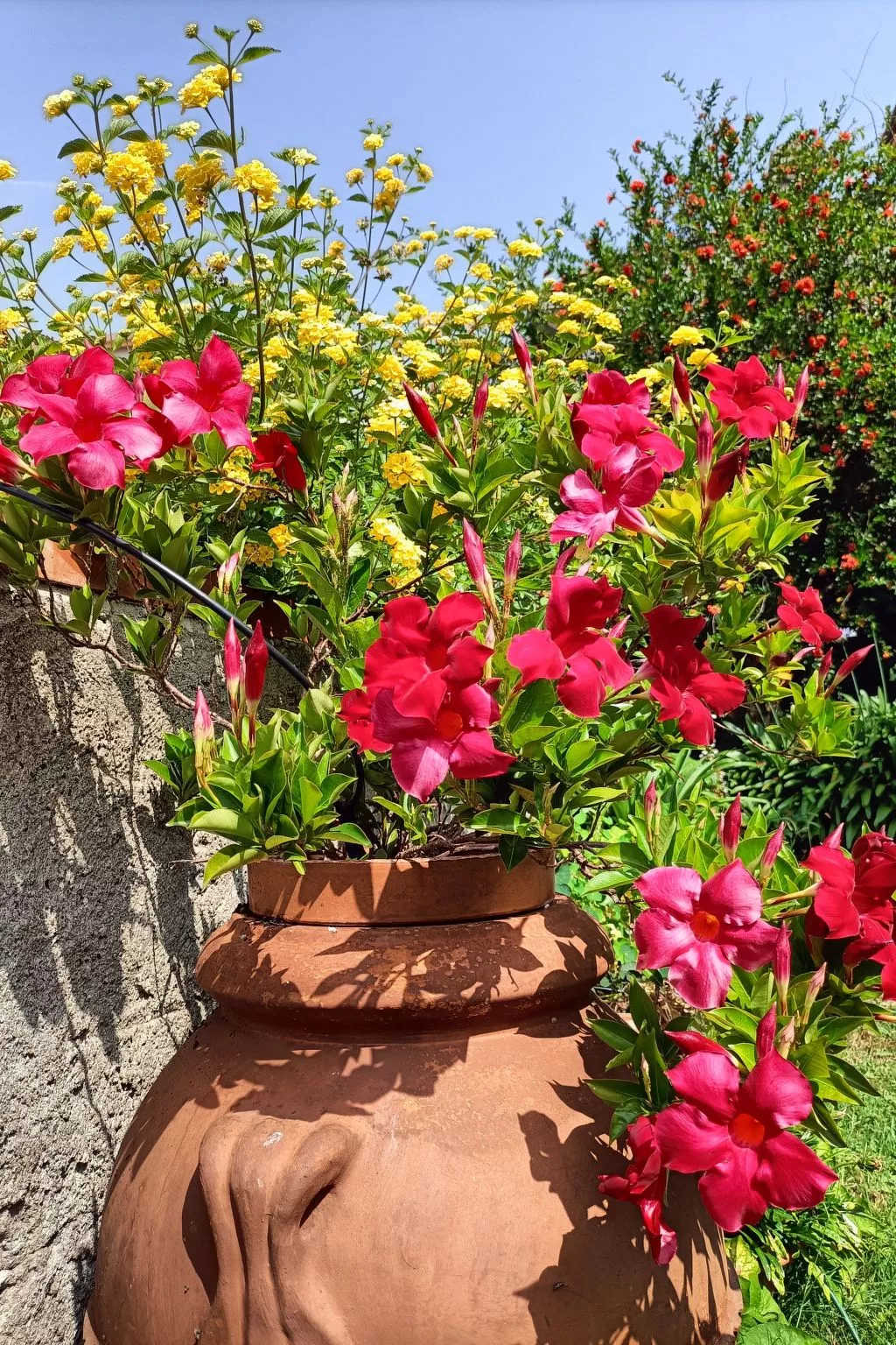 Mit Wasserblick-Buiten