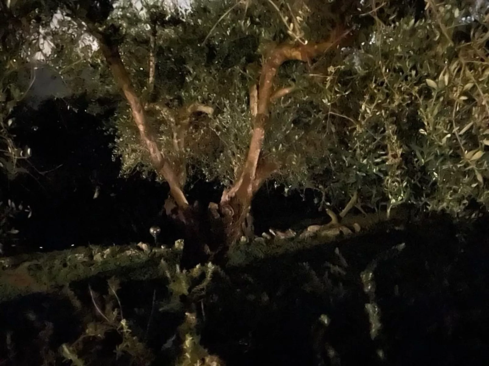 'Villa Lorien' mit Wasserblick-Buiten