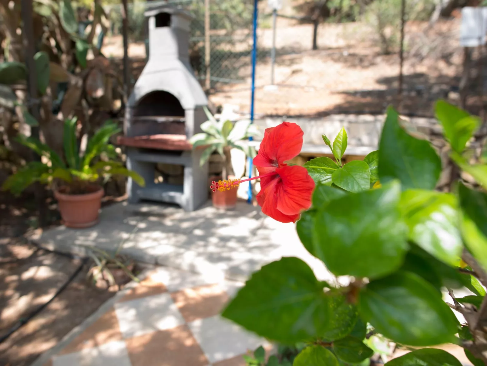 Renella' Wohnung mit Wasserblick - Image-tags.info