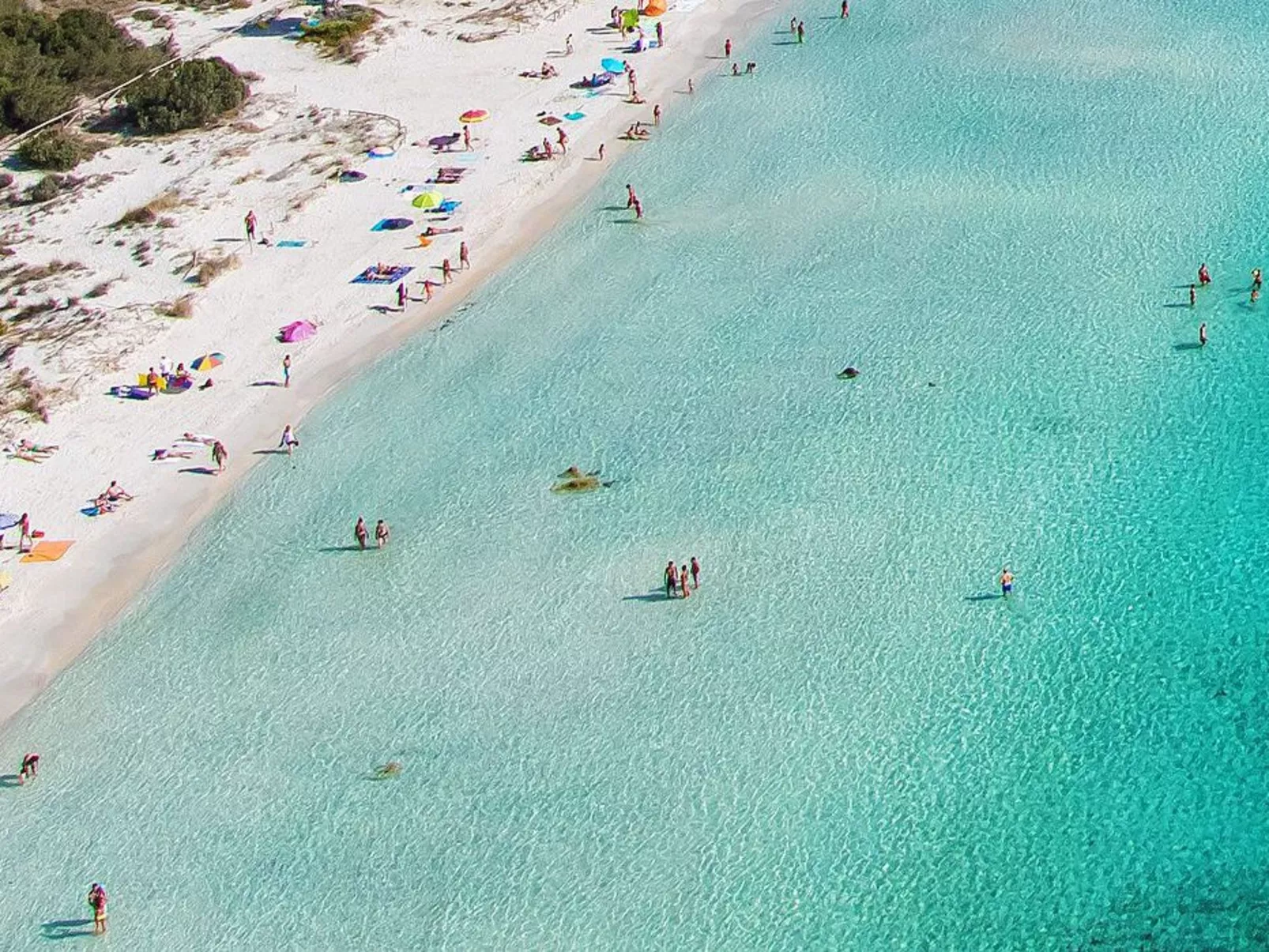 Apt. Eldi SC, mit gemeinsamem Schwimmbad-Image-tags.info