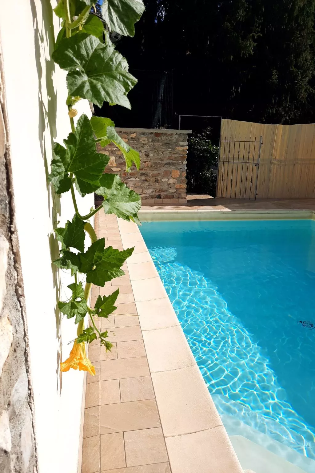 Villa in Borgomaro mit privatem Parkplatz-Buiten