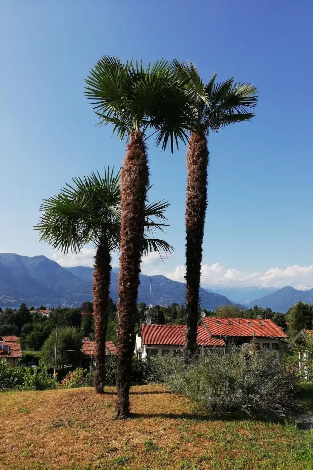 Residenz Nasca-Image-tags.info