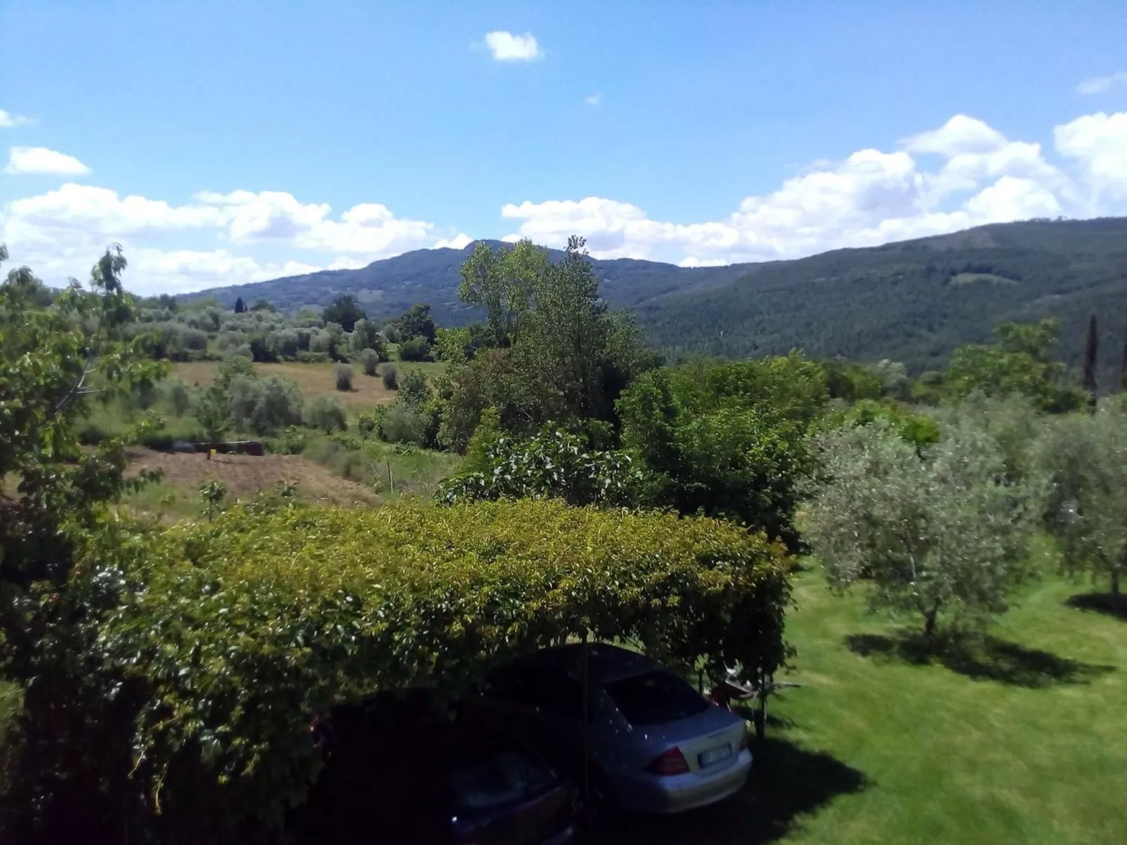 'Fasan' mit Balkon-Buiten