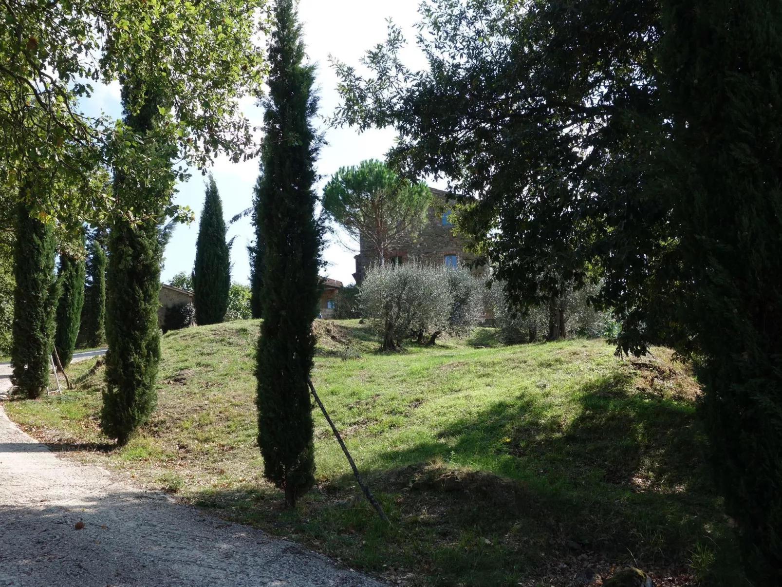 Villa de vacances-Binnen