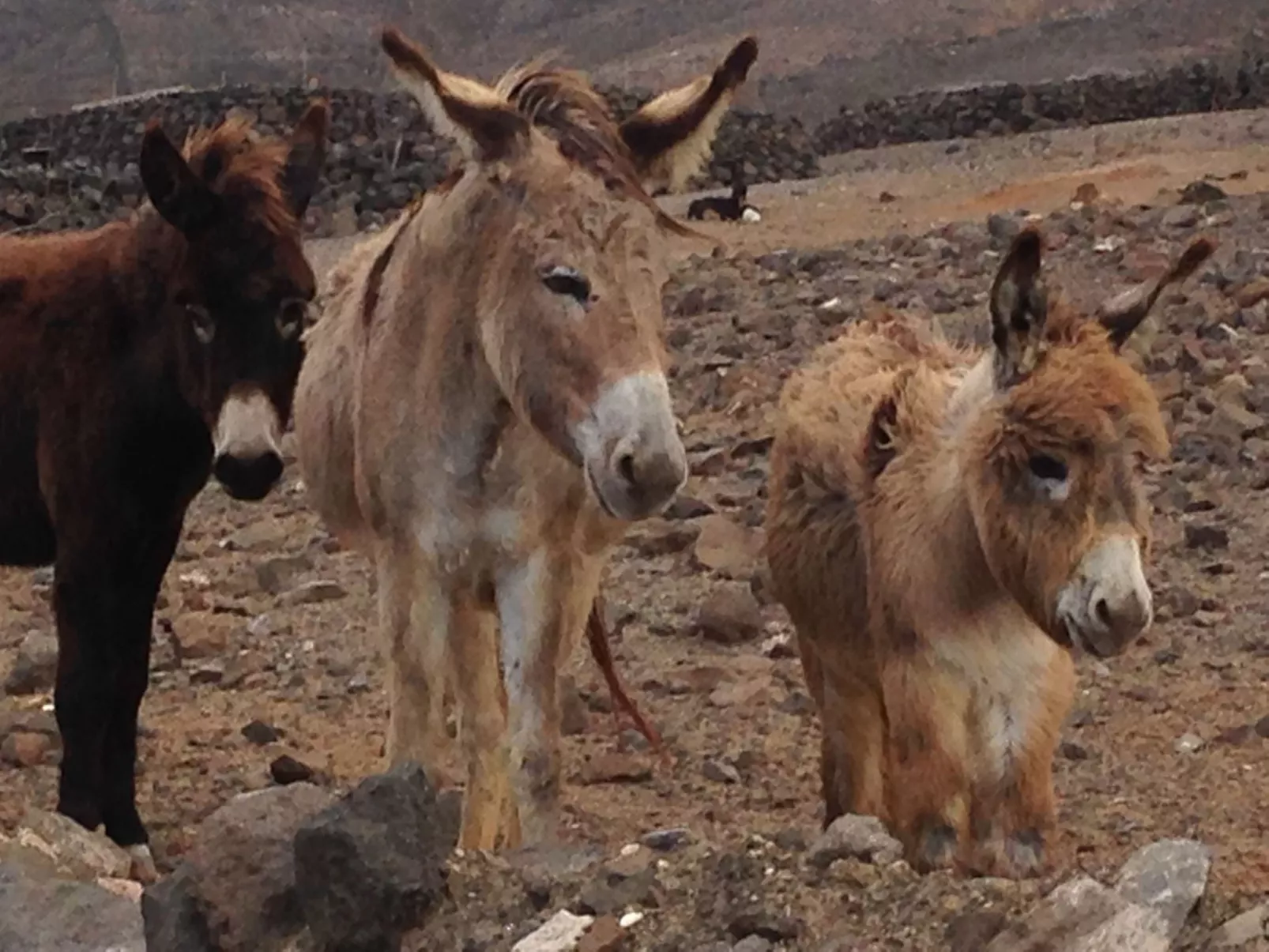 "Jandia" mit Wasserblick-Buiten
