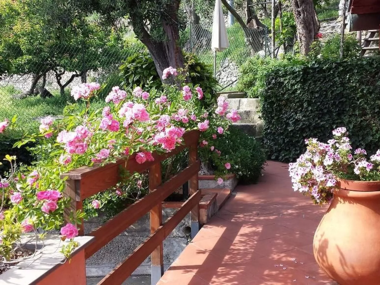 Wohnung mit Terrasse, Gemeinschaftspool und Aussicht-Image-tags.info