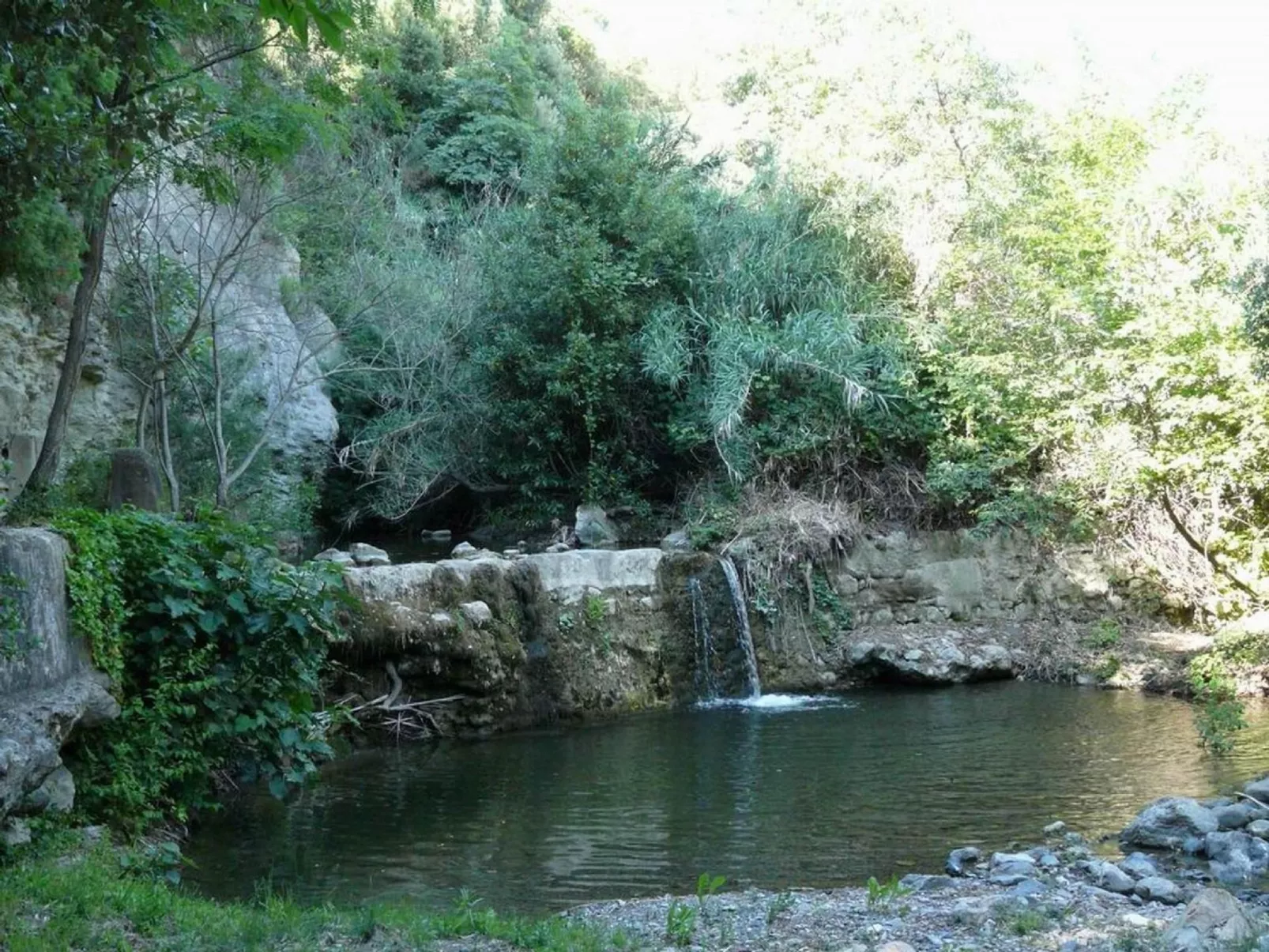 Molino-Studio-Image-tags.info