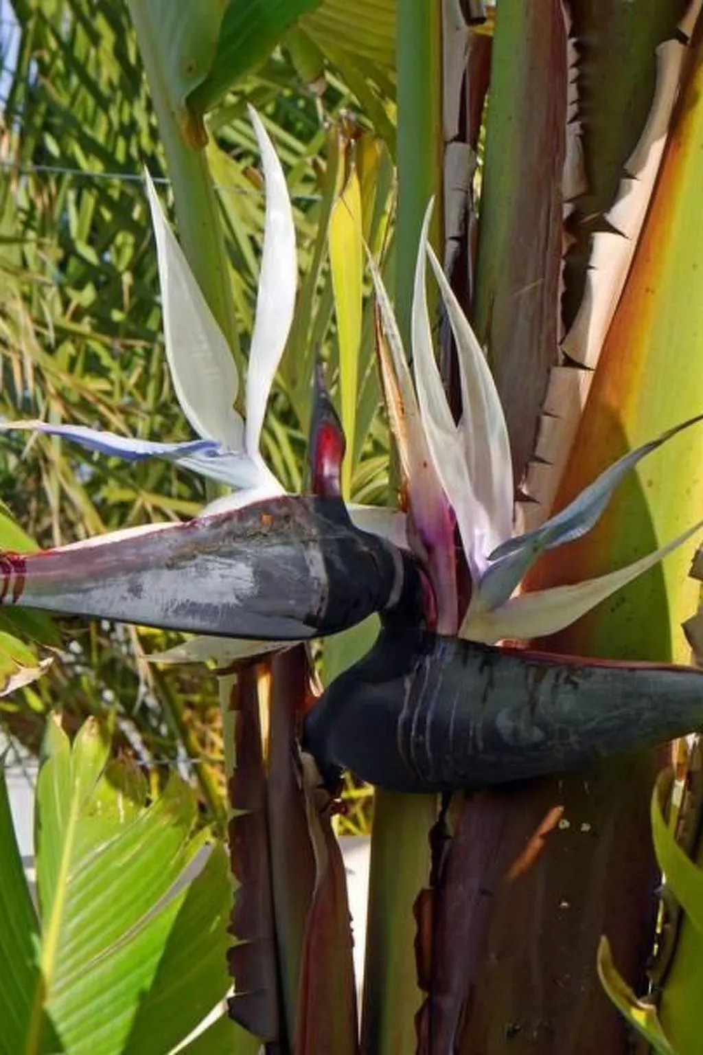 Casa 3 Leones-Buiten