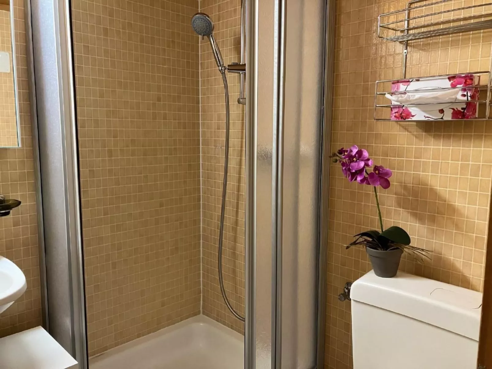 Gemütliches SINGLE-Studio-Binnen