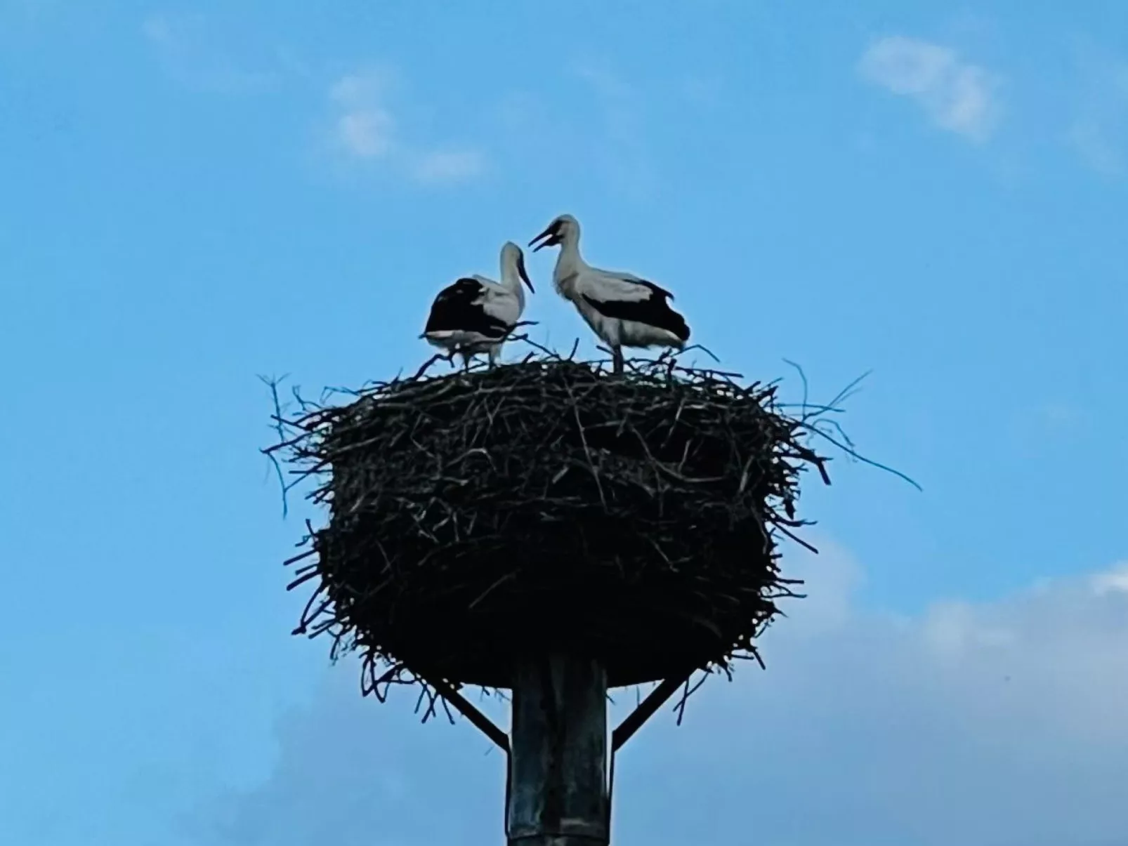 In Linum mit Garten, Terrasse und Grill-Image-tags.info