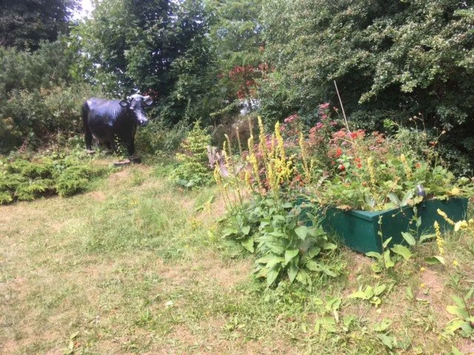 Modernisierte Ferienwohnung mit Balkon-Buiten