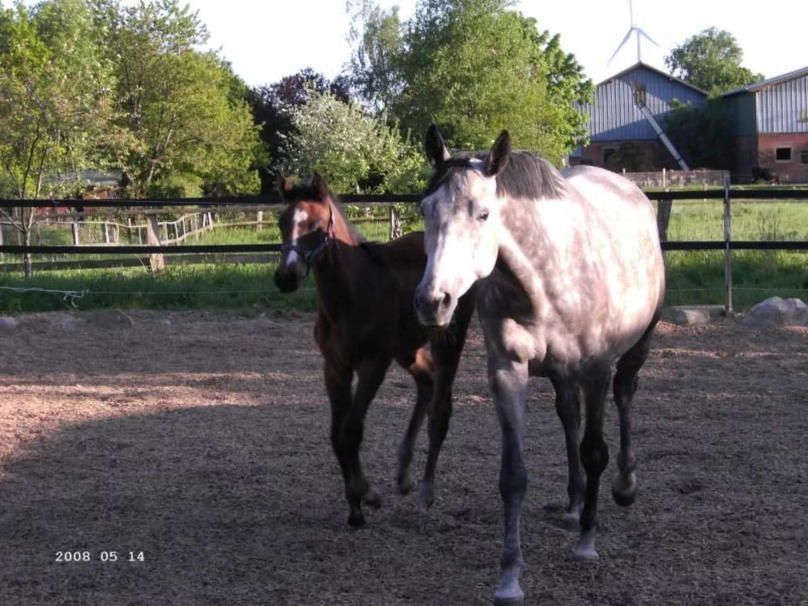 Westrich in guter Ausflugslage-Buiten