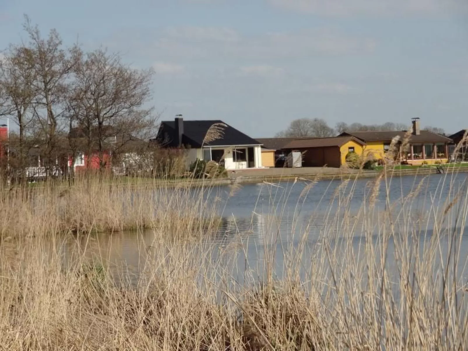 Eul in Butjadingen-Großwürden-Buiten