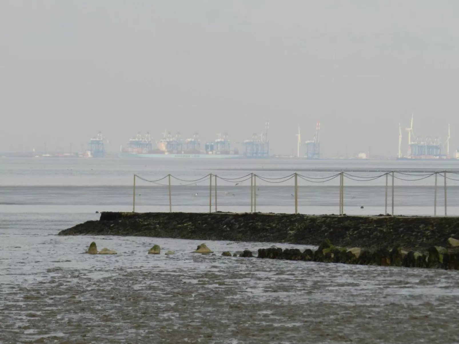 In Burhave mit Kleinem Garten-Image-tags.info