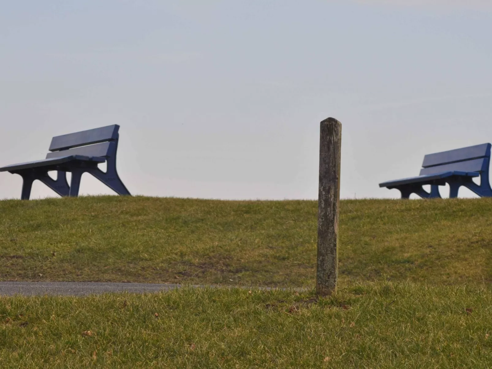 Seepferdchen-Image-tags.info