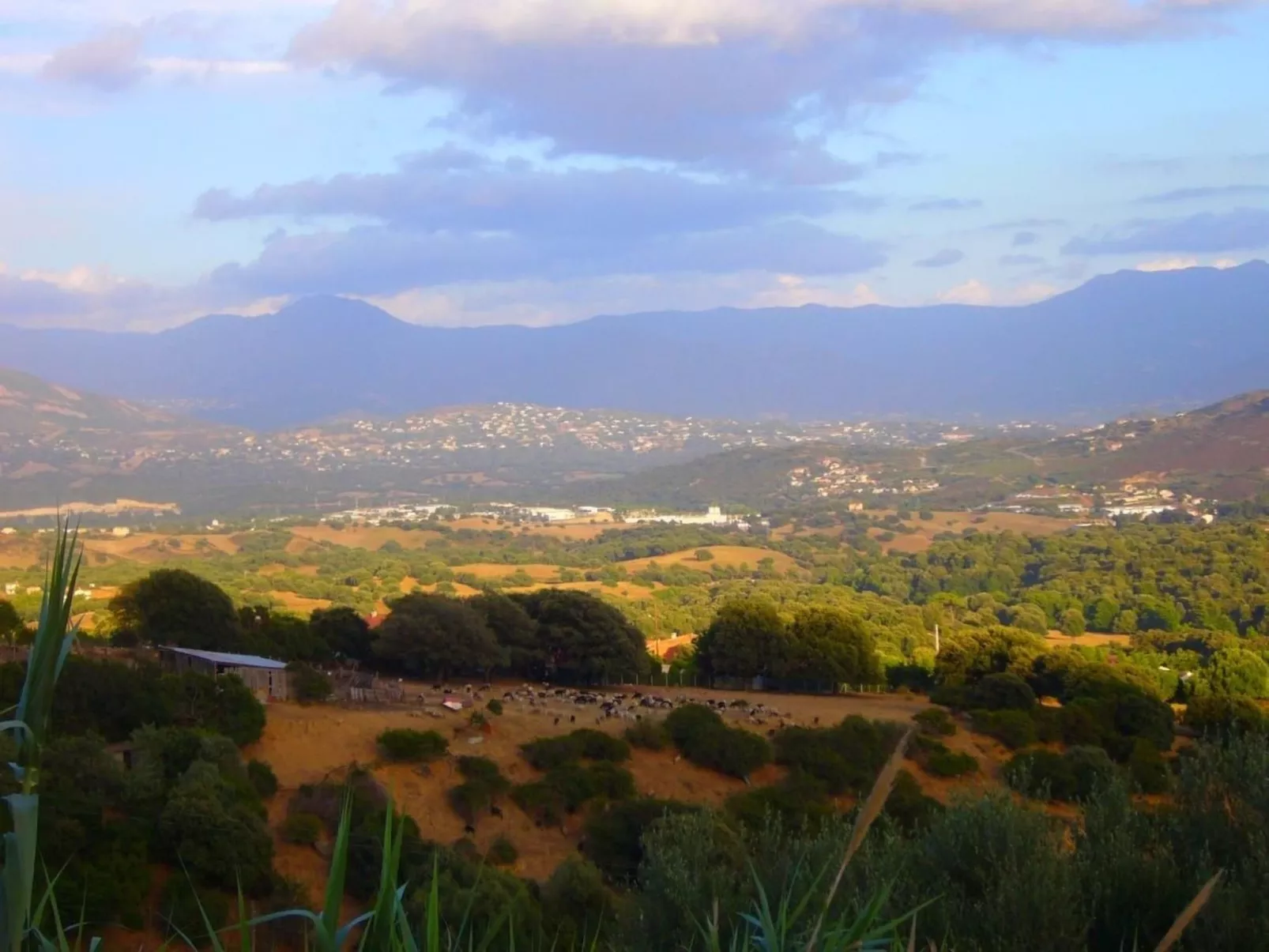 Mit Blick auf das Wasser-Buiten