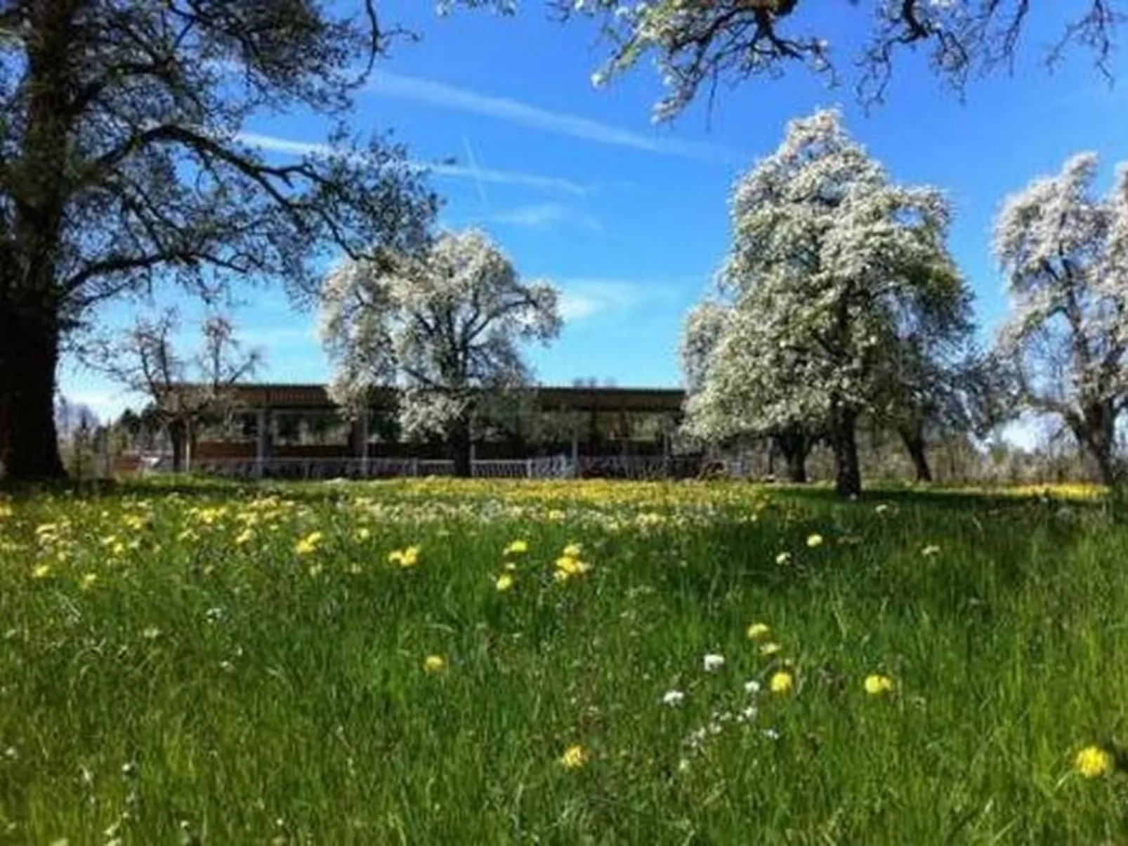 Biohof-Enderlin-Buiten