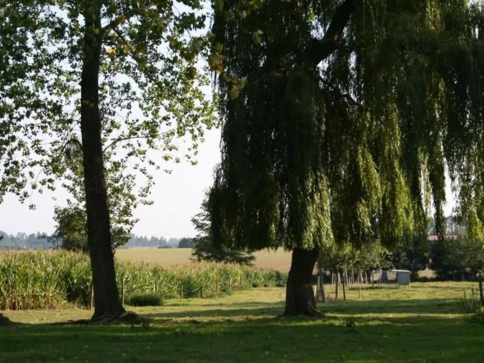 Für 8 Personen - Buiten